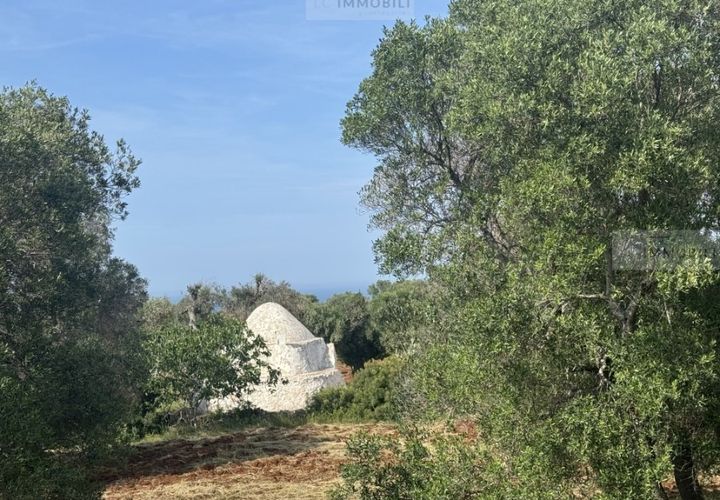 Helårsgrund i Carovigno, Brindisi, Carovigno - € 60.000 | Ref: tem3 - foto 1
